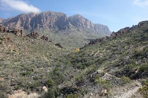 View Of The Trail
