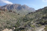 View Of The Trail