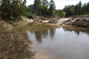 Spring Creek