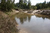 Spring Creek