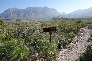 Trailhead