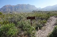 Trailhead