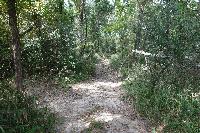 View Of The Trail