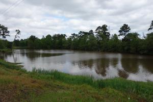 Another View From The Trail