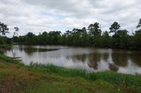 Another View From The Trail