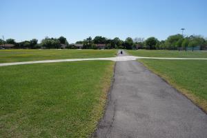 View Of The Trail