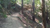 Up and up
