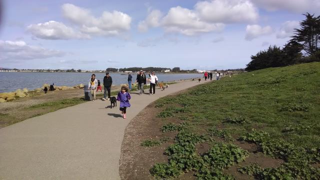 Lots of people, and dogs