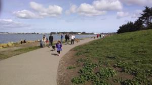 Lots of people, and dogs