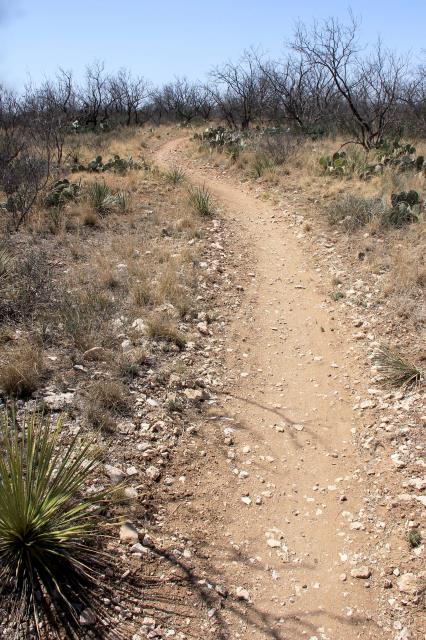 Javalina Trail