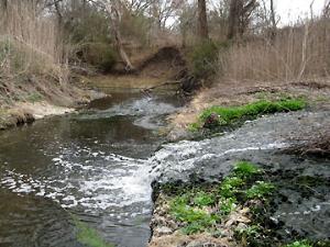 Waterfall on the Creek