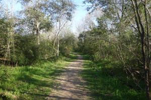 View Of The Trail