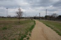 Another View Of The Trail