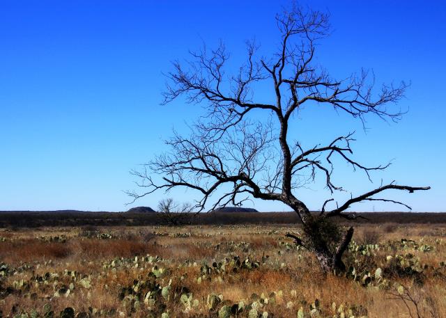 Looking Southwest on Dinosaur Trail