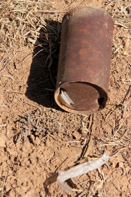 A Can of Snake!