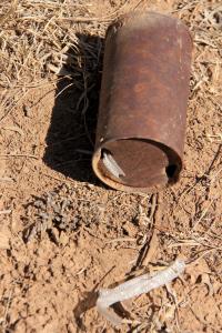 A Can of Snake!