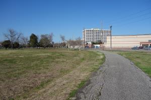 Another View Of The Trail