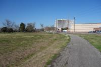 Another View Of The Trail