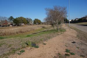 View Of The Trail
