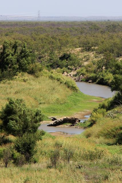 Low Water in the North Concho River