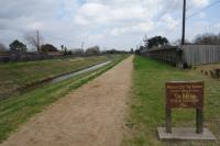 View Of The Trail