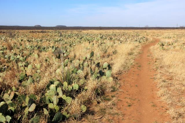 North Shore Dinosaur Trail - Wide open spaces