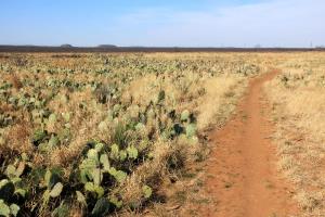 North Shore Dinosaur Trail - Wide open spaces