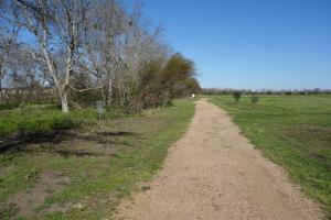 Another View Of The Trail