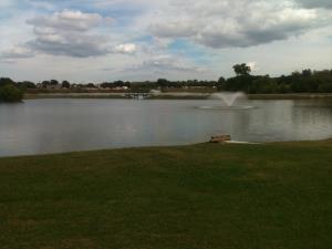 Another View Of The Lake