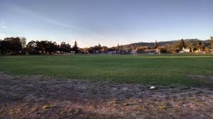 Playing fields