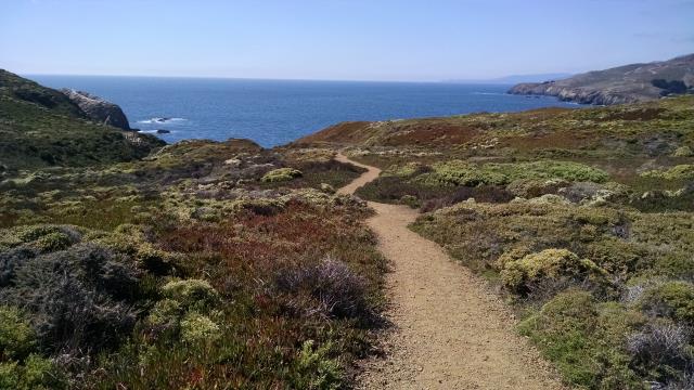 Rodeo Beach Trail