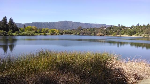 Vasona Lake
