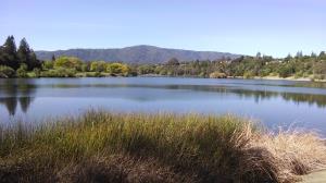 Vasona Lake