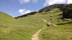 Trail View