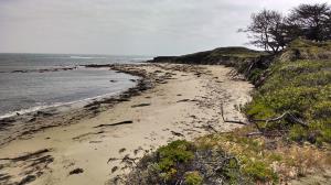 North Point