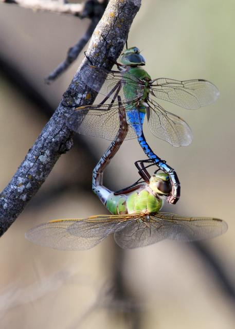 Get a Room!