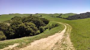 Briones Crest Trail
