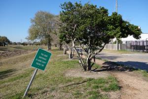 Another View Of The Trail