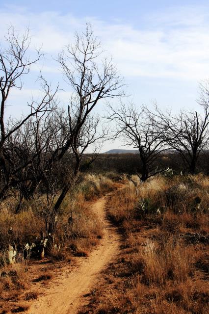 A portion of Turkey Creek Trail