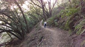 Trail View