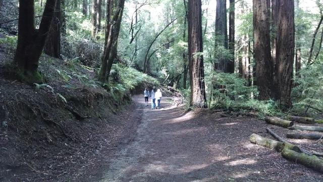 Trail View