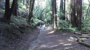 Trail View