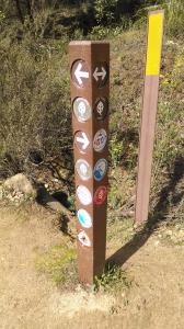 Marker