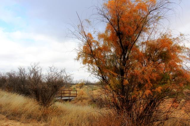 Nice Colors at the Park