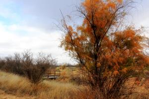 Nice Colors at the Park