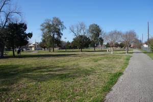View Of The Trail