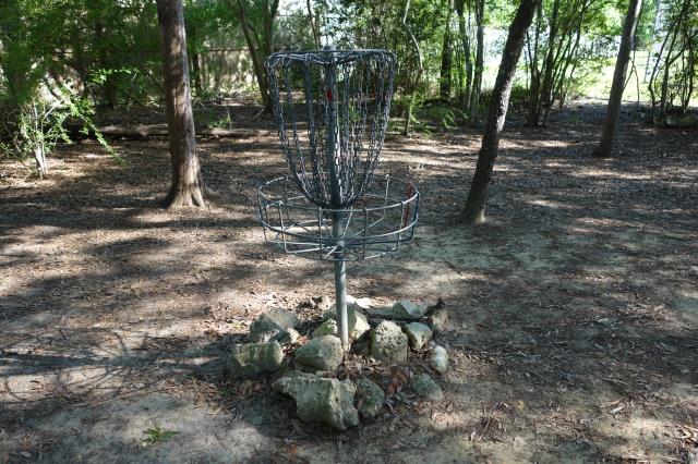 Disc Golf