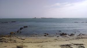 Año Nuevo Island