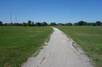 Another View Of The Trail