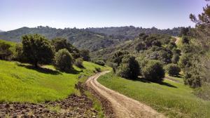 Rim Trail View